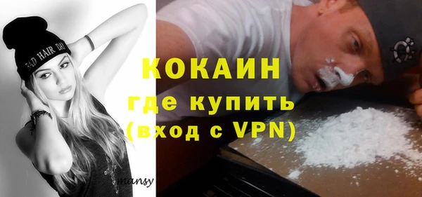 крисы Баксан