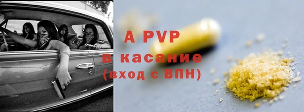 крисы Баксан