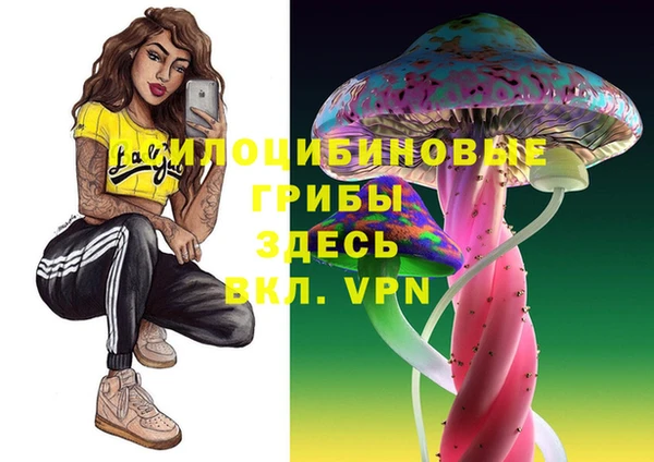 гидропоника Семилуки